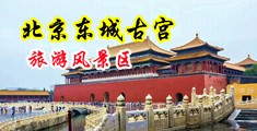 日本女人的乳头和骚逼中国北京-东城古宫旅游风景区